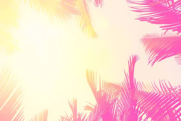 Kopírovat Prostor Siluety Tropické Palmy Slunečním Světlem Západě Slunce Oblačným — Stock fotografie