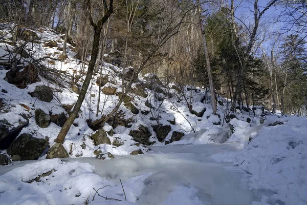 远东地区的冻死的河流 符拉迪沃斯托克 — 图库照片