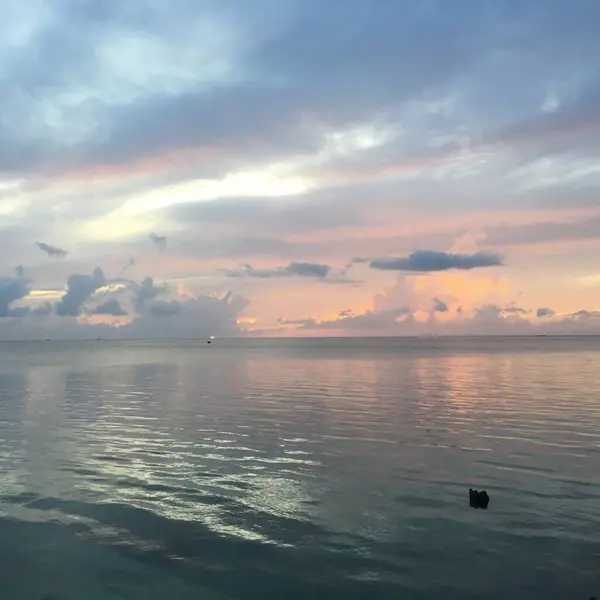 Der Rosa Sonnenuntergang Über Dem Meer Auf Einer Tropischen Insel — Stockfoto
