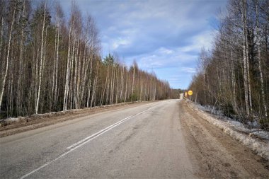 Orman manzarası yolu, bahar, güneşli gün