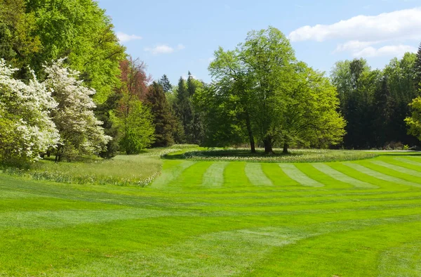Çiçek açan, büyük ağaçlı yeşil bahar parkı..