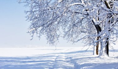 Taze kar ile soğuk kış sabahı manzarası.