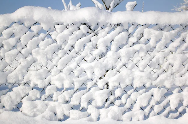 Проволочный Забор Покрытый Свежим Снегом — стоковое фото