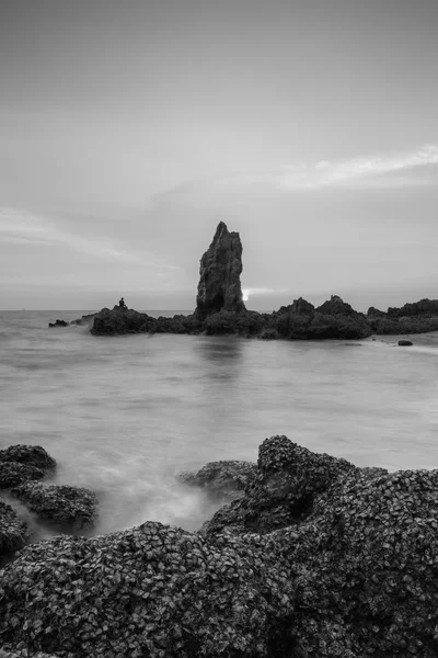 Black and White, Natural sea rock on the beach Stock Image