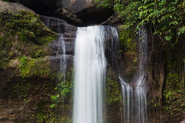 Derin orman ormanda doğal şelale uzun pozlama