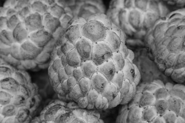 muhallebi elma meyve