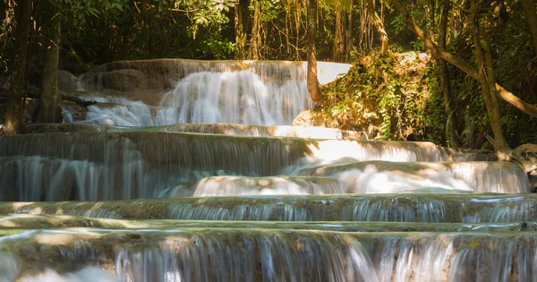 Stream waterfalls in deep forest jungle, natural landscape background — Stock Photo, Image