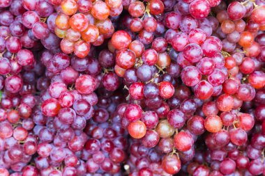 Siyah taze üzüm meyve, doğal meyve arka plan