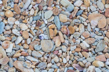 Doğal yuvarlak deniz kaya arka plan