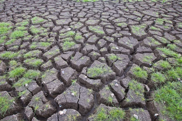 Cracked land background and texture — Stock Photo, Image