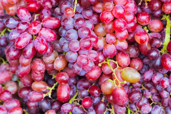 Raisins de vin rouge fond — Photo