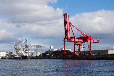 Kırmızı liman Vinci