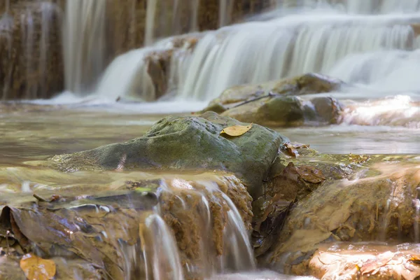 Закрыть водопады в естественных глубоких лесах — стоковое фото