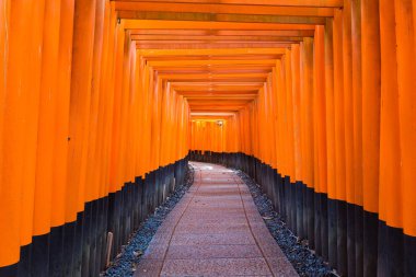 Fushimi Inari Taisha Tapınak, ünlü çizgi parlak turuncu aşağı 
