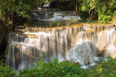 Ulusal ayrılmış orman derin orman şelale 