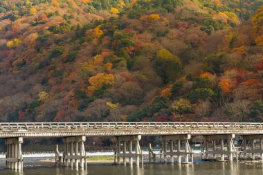 Arashiyama orman Togetsukyo köprü geçiş