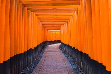 Torii Gatein Fushimi Inari Taisha tapınak Kyoto