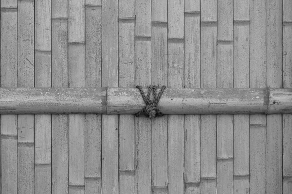 Gedroogde bamboe hek achtergrond — Stockfoto