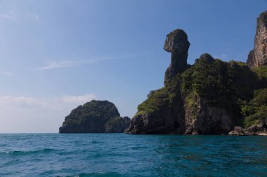 Andaman Denizi tavuk ada 