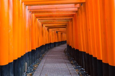 Tori kapısı Fushimi Inari Tapınağı'nda