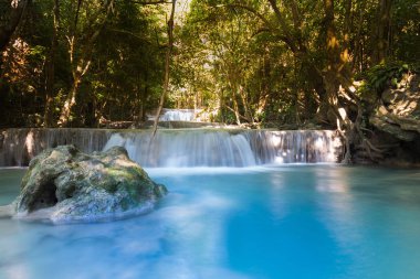 Derin orman mavi akım şelale