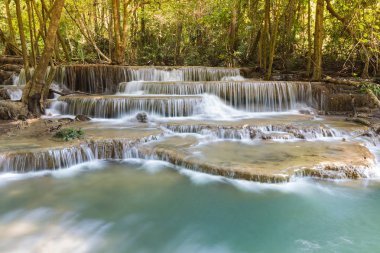 Derin doğal orman ve çoklu katmanlar şelaleler