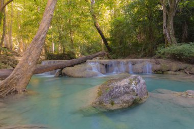 Derin orman doğal mavi akım şelaleler
