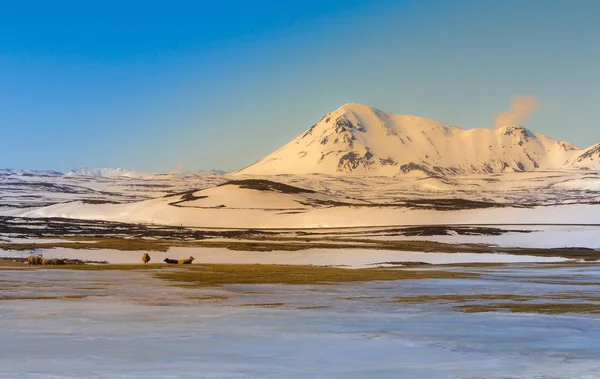 Прекрасный зимний пейзаж Исландии — стоковое фото