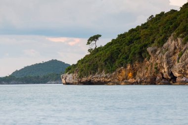 Deniz ve sahil manzarası