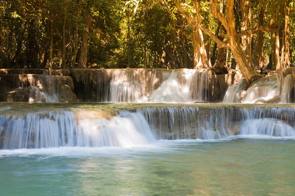 Derin orman akarsu şelale
