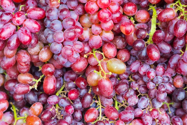 Fruits frais de raisin gros plan — Photo