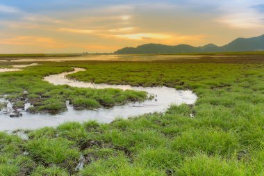 Küçük su ile küçük yeşil çim ile günbatımı gökyüzü arka plan üzerinde kırık yer yol