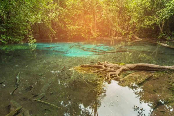 Emerald lake in deep tropical forest