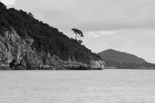 Uzun kıyı şeridi, doğal peyzaj arka plan üzerinde küçük ağaç