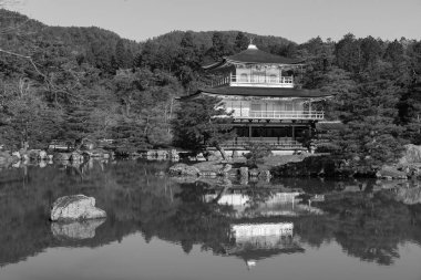 Japon geleneksel Bahçe altın köşk. Kinkakuji Tapınağı, kyoto, Japonya.