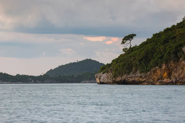 Морський пейзаж океану з островом і маленьким деревом — стокове фото