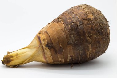 Beyaz arka plan üzerinde Taro gıda