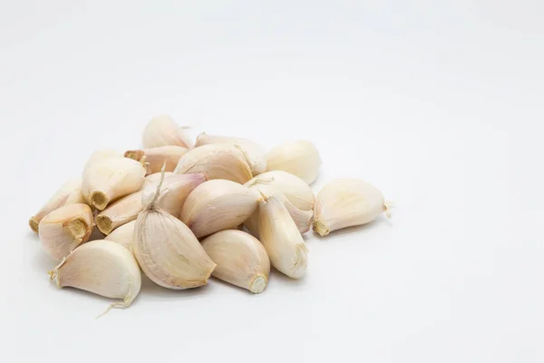 Root garlic blub on white background — Stock Photo, Image