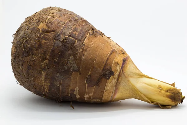 Beyaz arka plan üzerinde taze kök taro