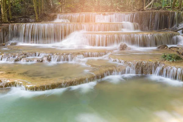 Güneş ışığı etkisi doğal akışı şelale tropikal derin orman