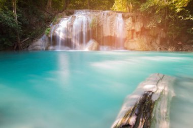 Mavi akım doğal şelale tropikal orman