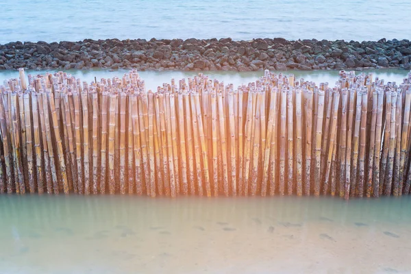 Μπαμπού φράχτη προστασίας από το κύμα της θάλασσας — Φωτογραφία Αρχείου