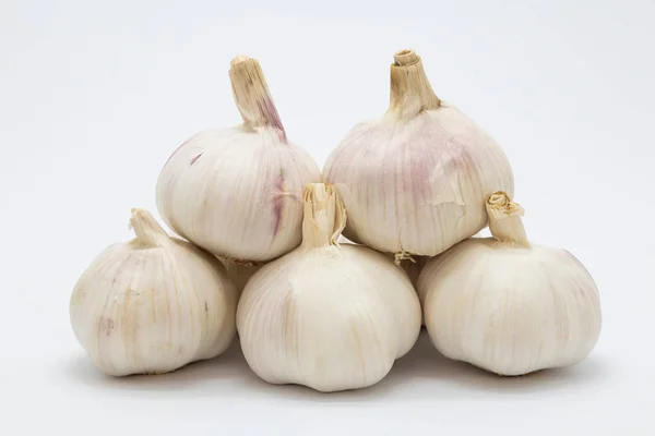 Fresh root garlic on white background — Stock Photo, Image