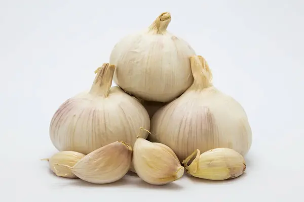Root garlic on white background — Stock Photo, Image