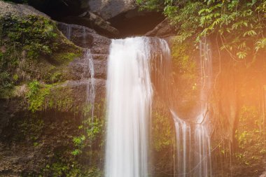 Doğal şelale üzerinde taş tropikal orman