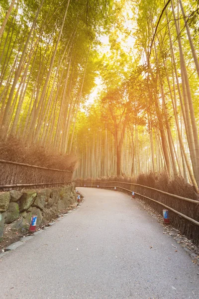 京都の竹林と方法 Sanano 自然風景のバック グラウンドを歩いて — ストック写真