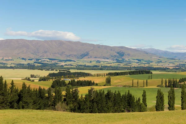 Nova Zelândia Highland Green Glass Field Mountain Background Paisagem Natural — Fotografia de Stock