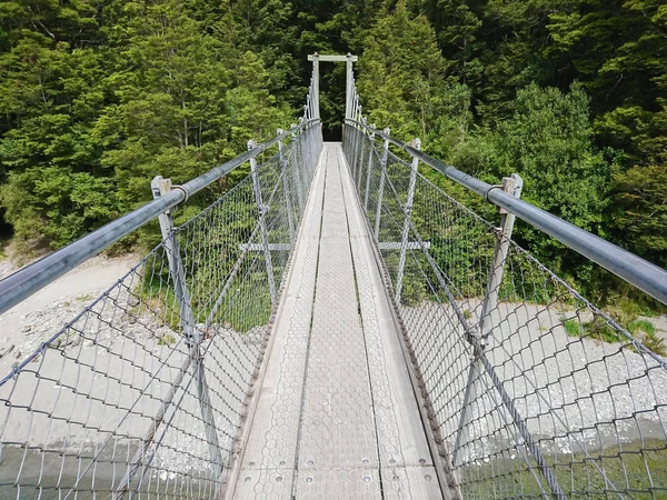 Wandelen Hangbrug Tropische Jungle Nieuw Zeeland Natuurlandschap Achtergrond — Stockfoto