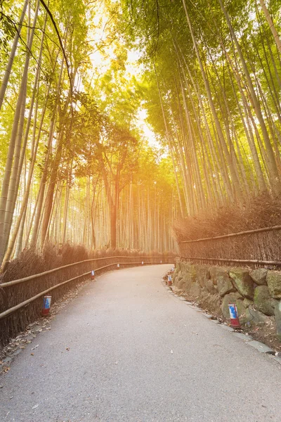 大阪自然公園の道を歩く — ストック写真