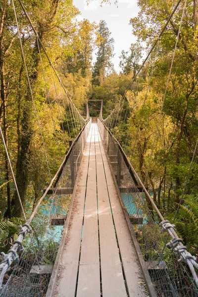 Opknoping Houten Brug Tropische Jungle Natuurlijke Landschap Achtergrond — Stockfoto